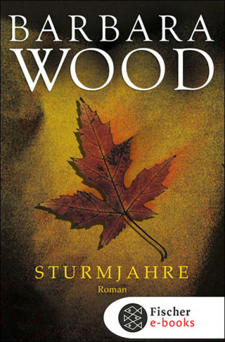 Barbara Wood: Sturmjahre