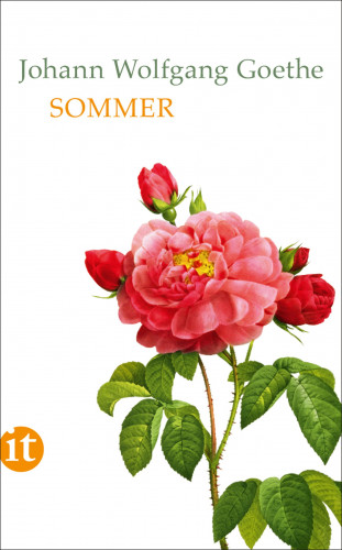 Johann Wolfgang Goethe: Sommer