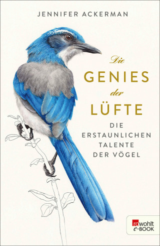 Jennifer Ackerman: Die Genies der Lüfte