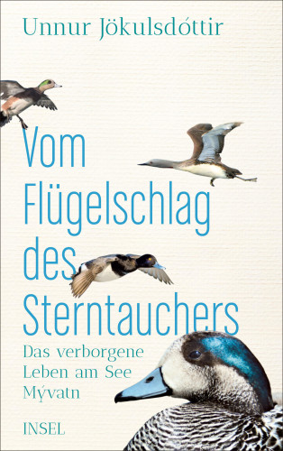 Unnur Jökulsdóttir: Vom Flügelschlag des Sterntauchers