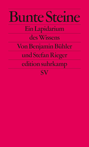 Benjamin Bühler, Stefan Rieger: Bunte Steine