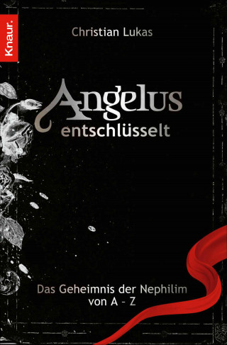 Christian Lukas: Angelus entschlüsselt