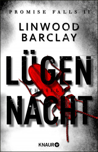 Linwood Barclay: Lügennacht