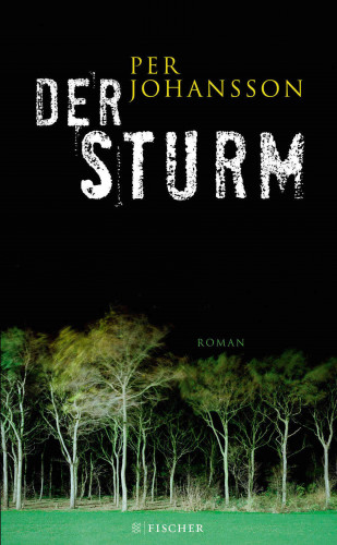 Per Johansson: Der Sturm