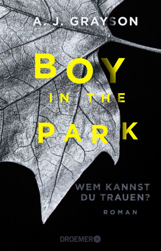 A. J. Grayson: Boy in the Park – Wem kannst du trauen?