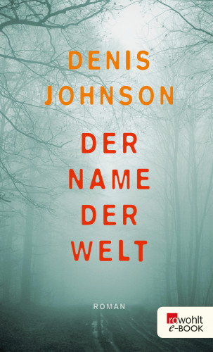 Denis Johnson: Der Name der Welt