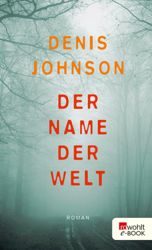 Denis Johnson: Der Name der Welt