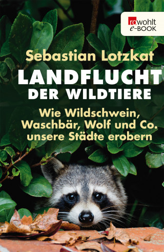 Sebastian Lotzkat: Landflucht der Wildtiere