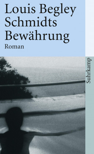 Louis Begley: Schmidts Bewährung