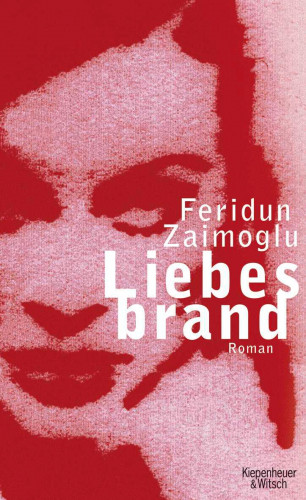 Feridun Zaimoglu: Liebesbrand
