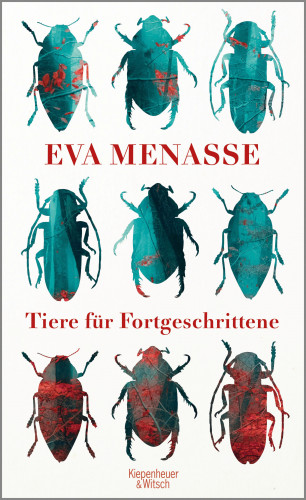 Eva Menasse: Tiere für Fortgeschrittene