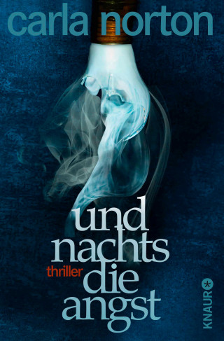 Carla Norton: Und nachts die Angst