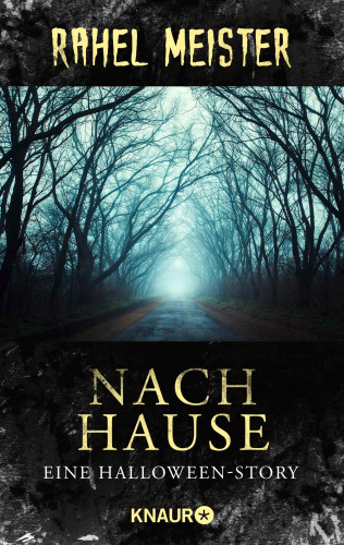 Rahel Meister: Nach Hause