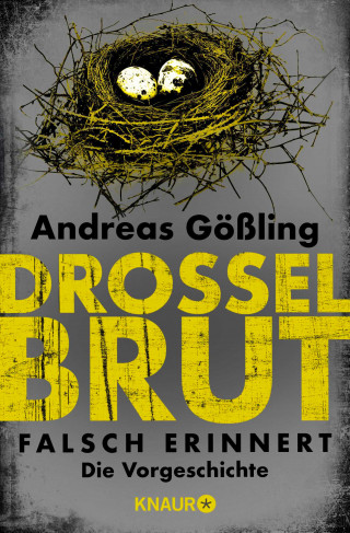Andreas Gößling: Drosselbrut - Falsch erinnert