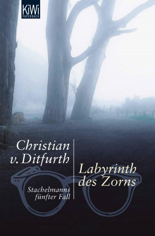 Christian von Ditfurth: Labyrinth des Zorns