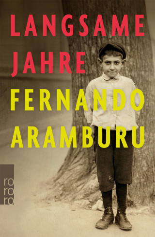 Fernando Aramburu: Langsame Jahre