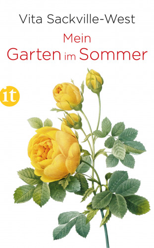 Vita Sackville-West: Mein Garten im Sommer