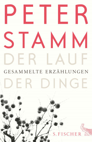 Peter Stamm: Der Lauf der Dinge