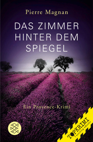 Pierre Magnan: Das Zimmer hinter dem Spiegel