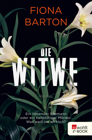 Fiona Barton: Die Witwe