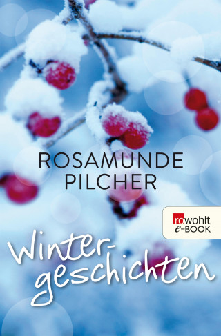 Rosamunde Pilcher: Wintergeschichten
