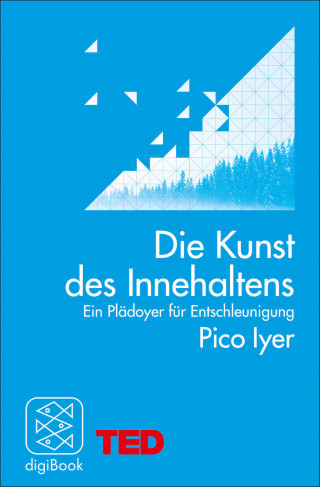 Pico Iyer: Die Kunst des Innehaltens