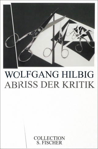 Wolfgang Hilbig: Abriss der Kritik