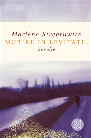 Marlene Streeruwitz: morire in levitate.