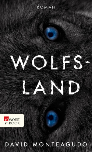 David Monteagudo: Wolfsland