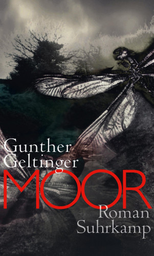 Gunther Geltinger: Moor