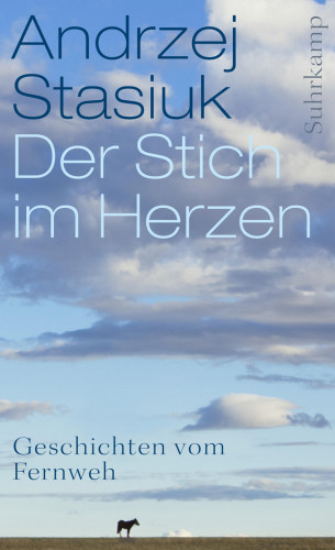 Andrzej Stasiuk: Der Stich im Herzen