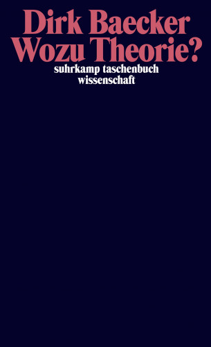 Dirk Baecker: Wozu Theorie?