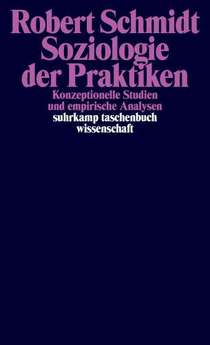 Robert Schmidt: Soziologie der Praktiken