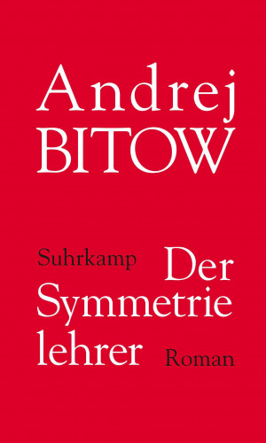 Andrej Bitow: Der Symmetrielehrer