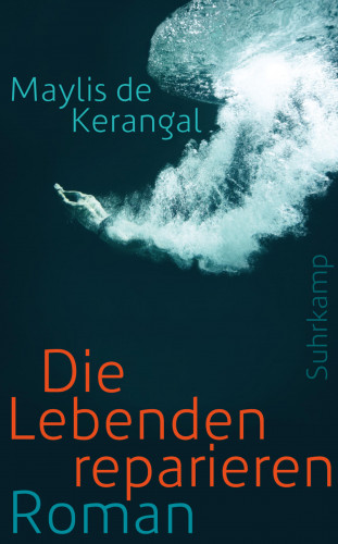 Maylis de Kerangal: Die Lebenden reparieren