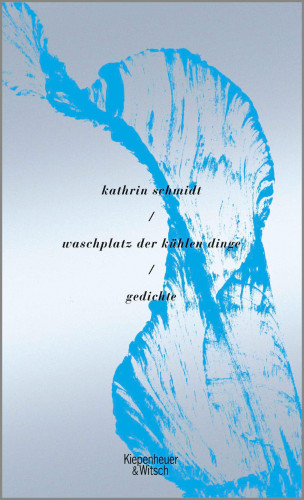 Kathrin Schmidt: waschplatz der kühlen dinge