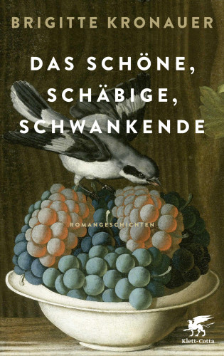 Brigitte Kronauer: Das Schöne, Schäbige, Schwankende