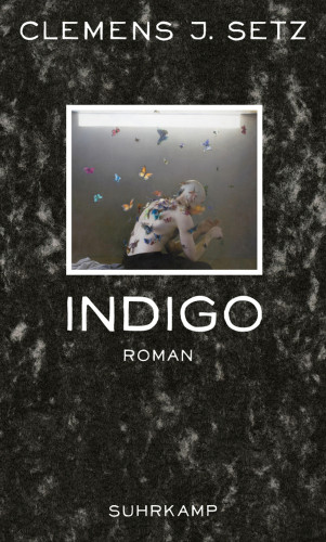 Clemens J. Setz: Indigo