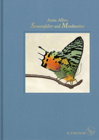 Anita Albus: Sonnenfalter und Mondmotten