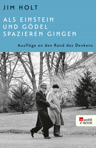Jim Holt: Als Einstein und Gödel spazieren gingen