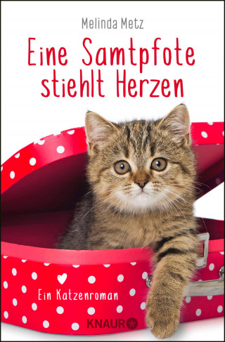 Melinda Metz: Eine Samtpfote stiehlt Herzen