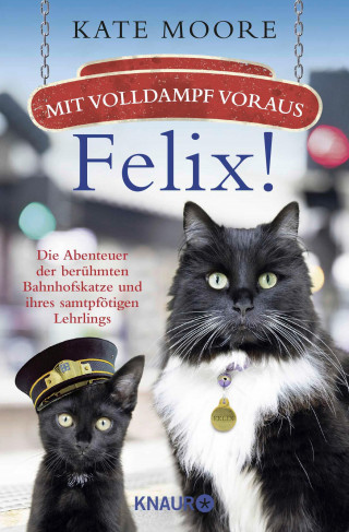 Kate Moore: Mit Volldampf voraus, Felix!