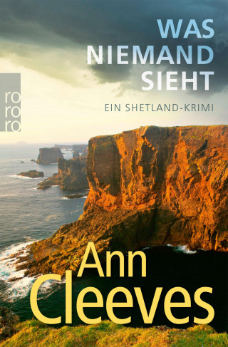 Ann Cleeves: Was niemand sieht