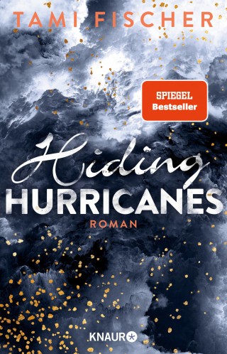 Tami Fischer: Hiding Hurricanes
