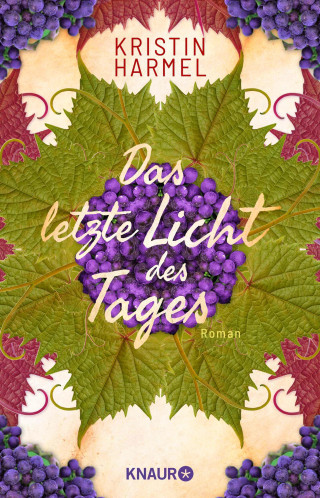 Kristin Harmel: Das letzte Licht des Tages