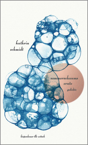 Kathrin Schmidt: sommerschaums ernte