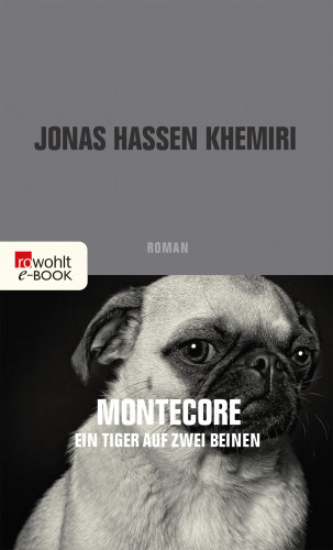 Jonas Hassen Khemiri: Montecore, ein Tiger auf zwei Beinen