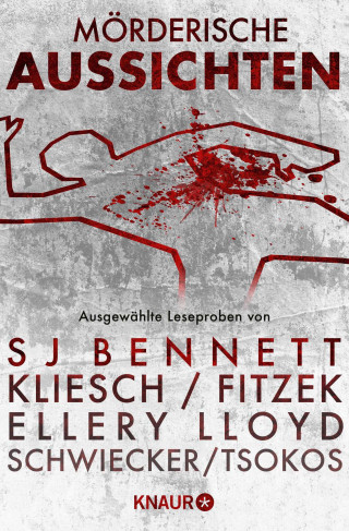 S. J. Bennett, Charlie Donlea, Carine Bernard, Vincent Kliesch, Sebastian Fitzek, Joseph Knox, Kimberly McCreight, Veit Etzold, Ellery Lloyd, Florian Schwiecker, Prof. Dr. Michael Tsokos, Kirsten Nähle, Regine Kölpin, Karen Rose: Mörderische Aussichten: Thriller & Krimi bei Droemer Knaur #7