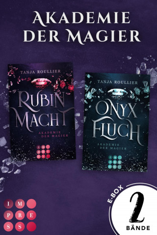 Tanja Roullier: Akademie der Magier. Sammelband der mitreißenden Romantasy-Serie (Akademie der Magier)