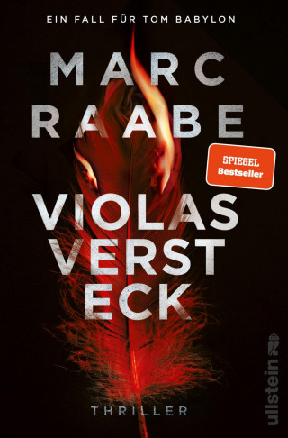 Marc Raabe: Violas Versteck